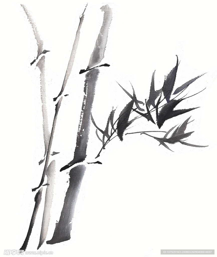 国画竹子