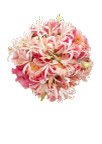节日捧花