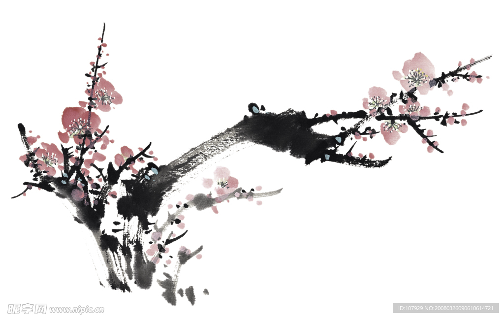 老枝桃花