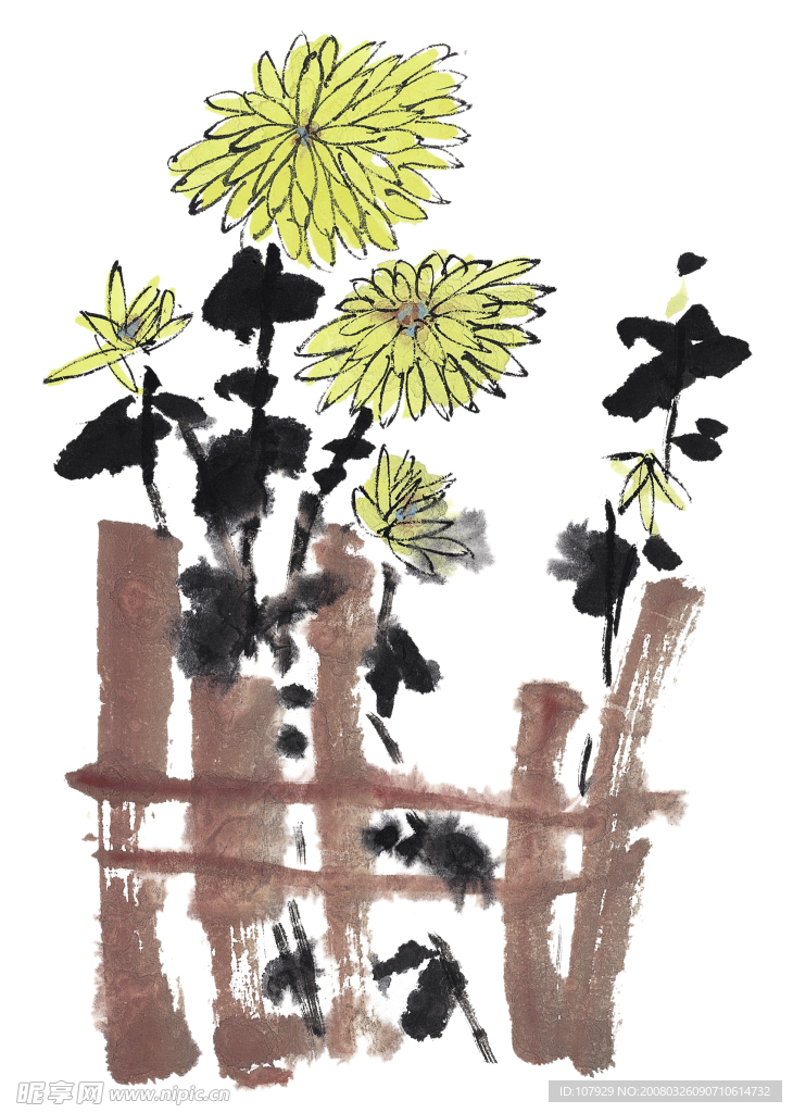 国画菊花
