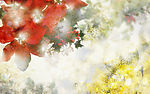 梦幻季节 - 秋天 冬天