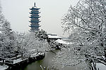 雪景