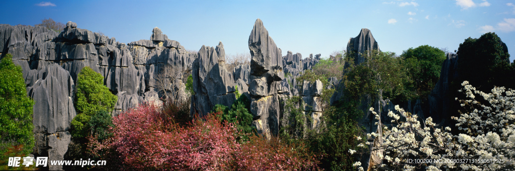 山花烂漫