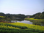 风景