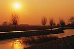 夕阳
