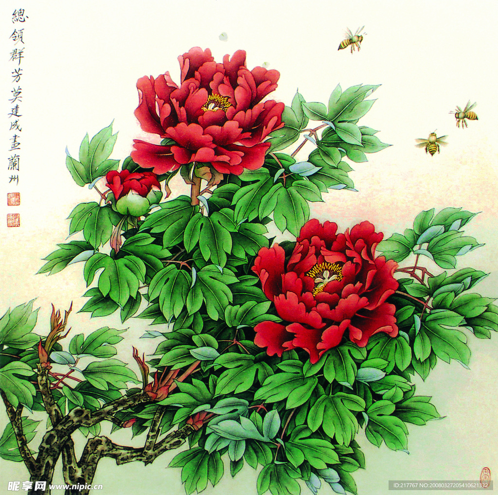 牡丹花