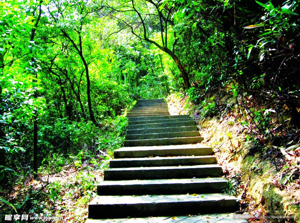 山林风景