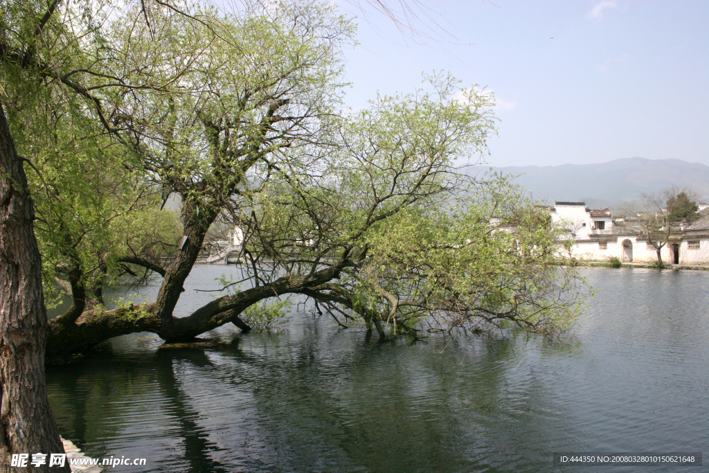 宏村风景