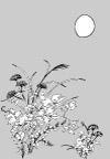 日本专业设计矢量花草