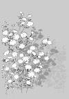 日本专业设计矢量花草