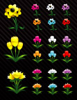 花卉