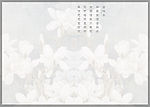 写真系列