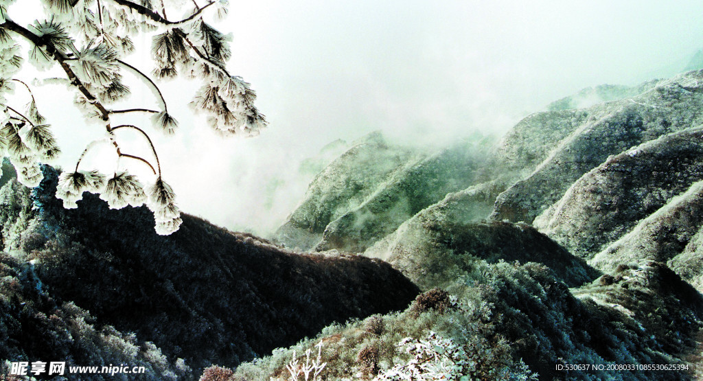 雪景