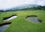 草中湖