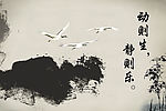 名言名句-动则生静则乐