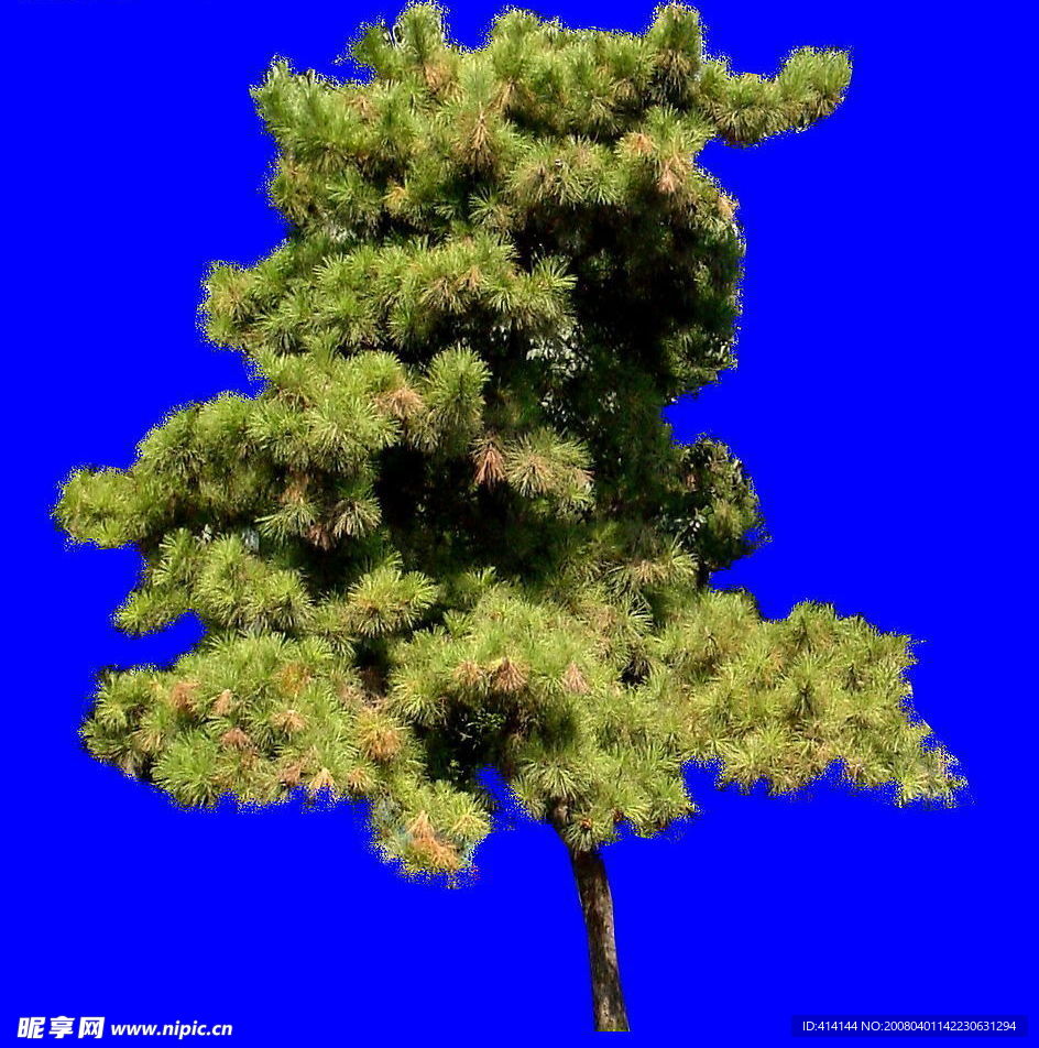 树木类 分层 抠图 PSD 格式
