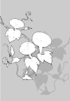 日本专业设计矢量花草