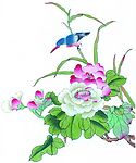 水彩花鸟