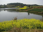 好山好水