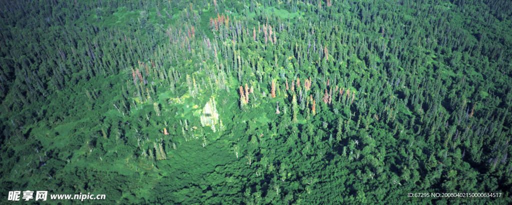 自然风景