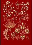 精美花纹