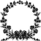 矢量花边 花纹