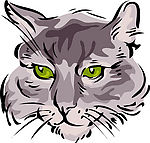 猫