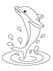 海豚