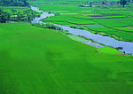 坪 田园 风光 小溪 流水 绿地