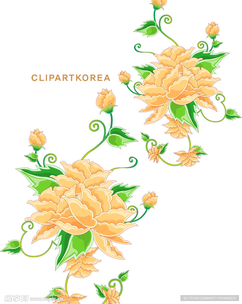 精美时尚花纹,韩国最新花纹