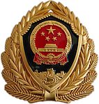 新式武警标志