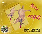 房地产创意广告