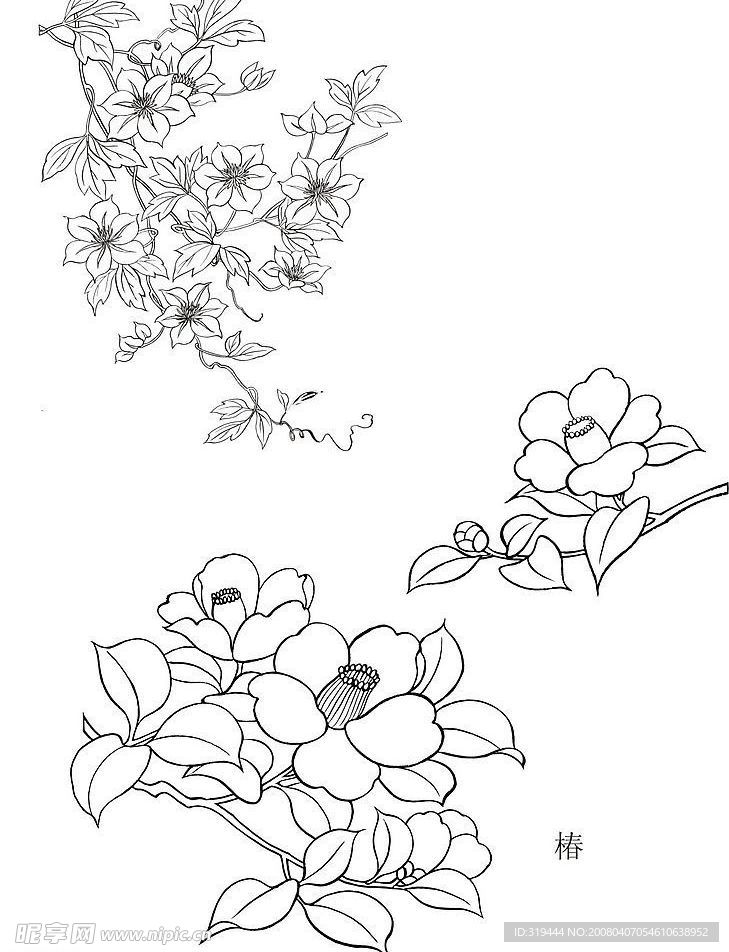 椿