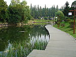 井冈山公园小径