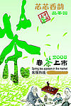 春茶上市