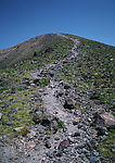 山尖小路