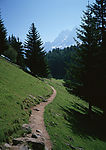 树林里的山坡小路