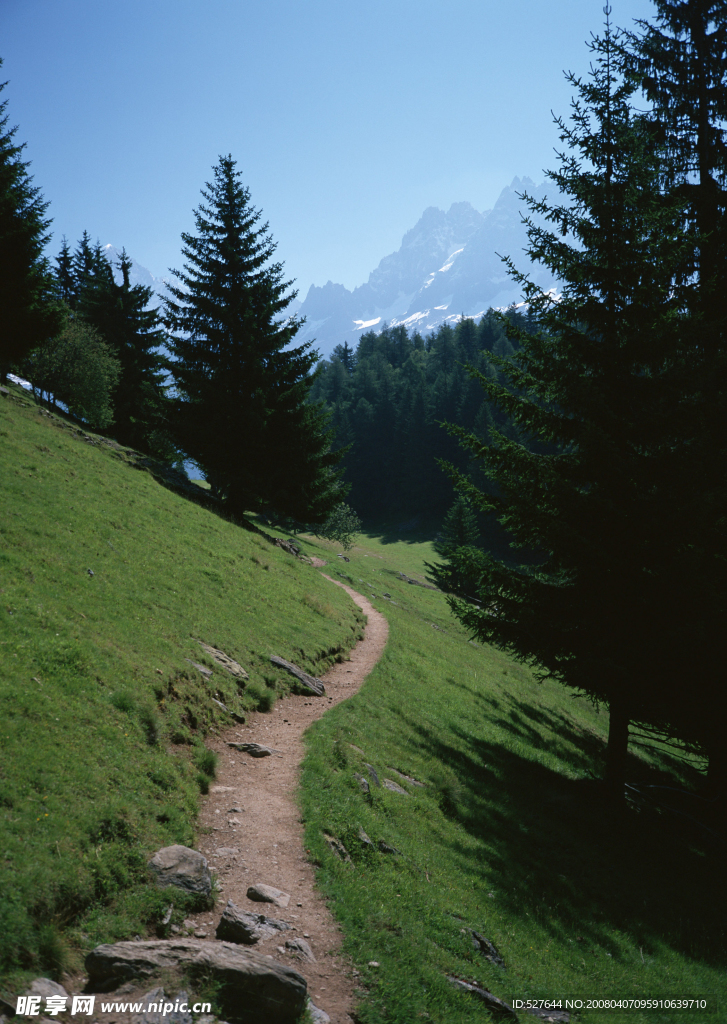 树林里的山坡小路