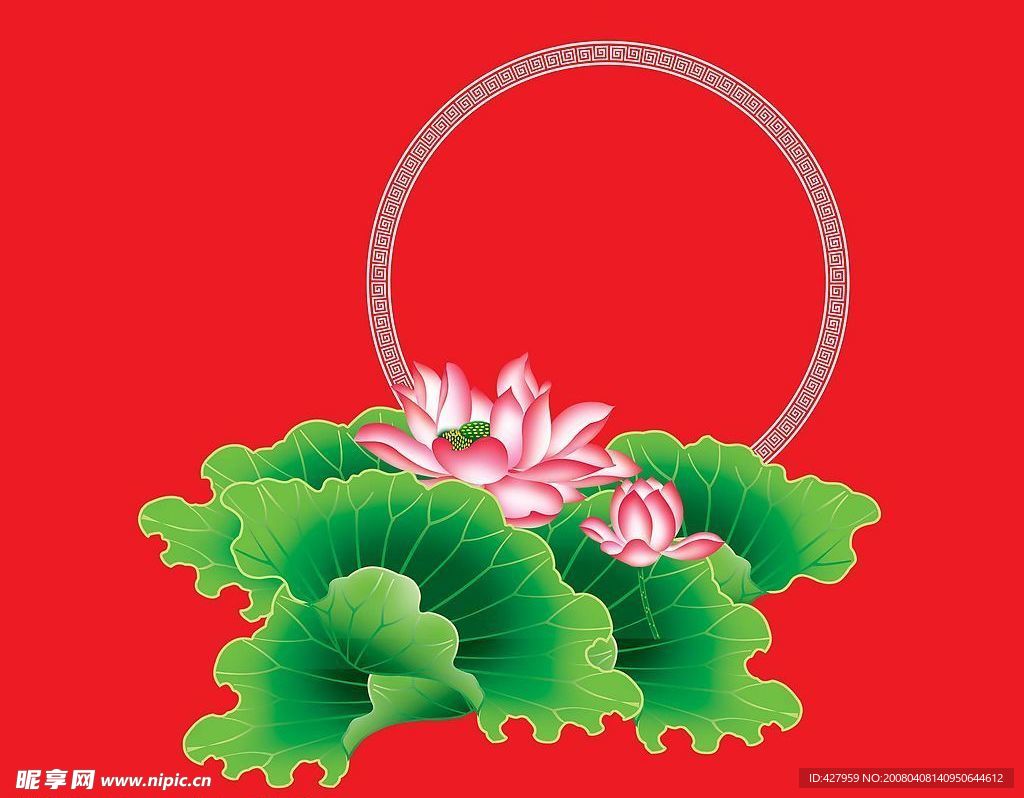 荷花