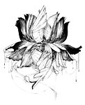 钢笔白描手绘莲花装饰画