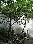 风景