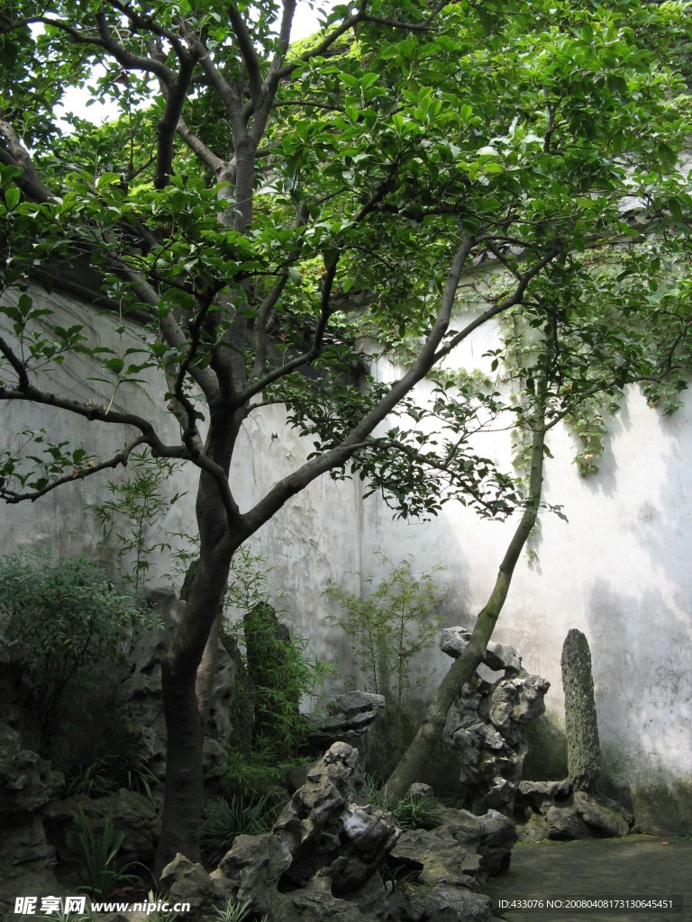 风景