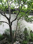 风景
