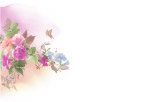 韩国花纹