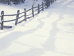 雪景