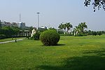 绿树
