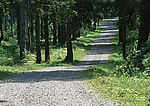 石子路