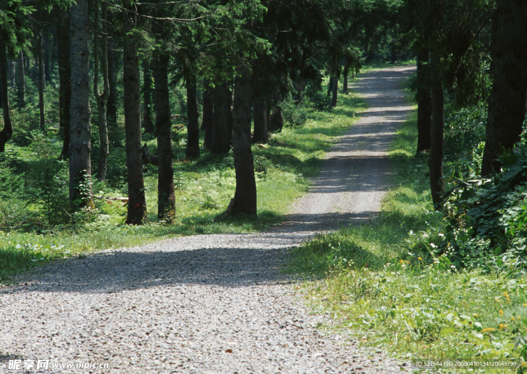 石子路