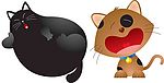 猫