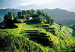 乡村高山梯田景色